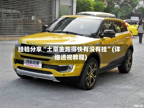 经验分享“土豪金跑得快有没有挂	”(详细透视教程)-第2张图片