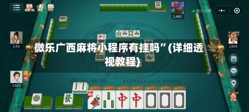 微乐广西麻将小程序有挂吗”(详细透视教程)-第2张图片