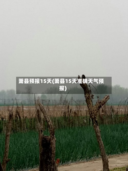萧县预报15天(萧县15天准确天气预报)-第2张图片