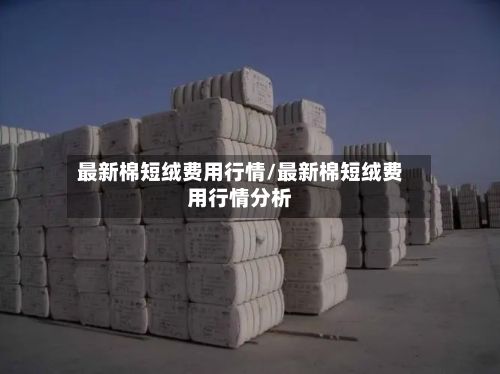 最新棉短绒费用行情/最新棉短绒费用行情分析