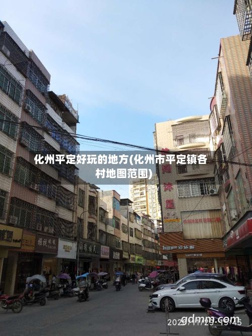 化州平定好玩的地方(化州市平定镇各村地图范围)