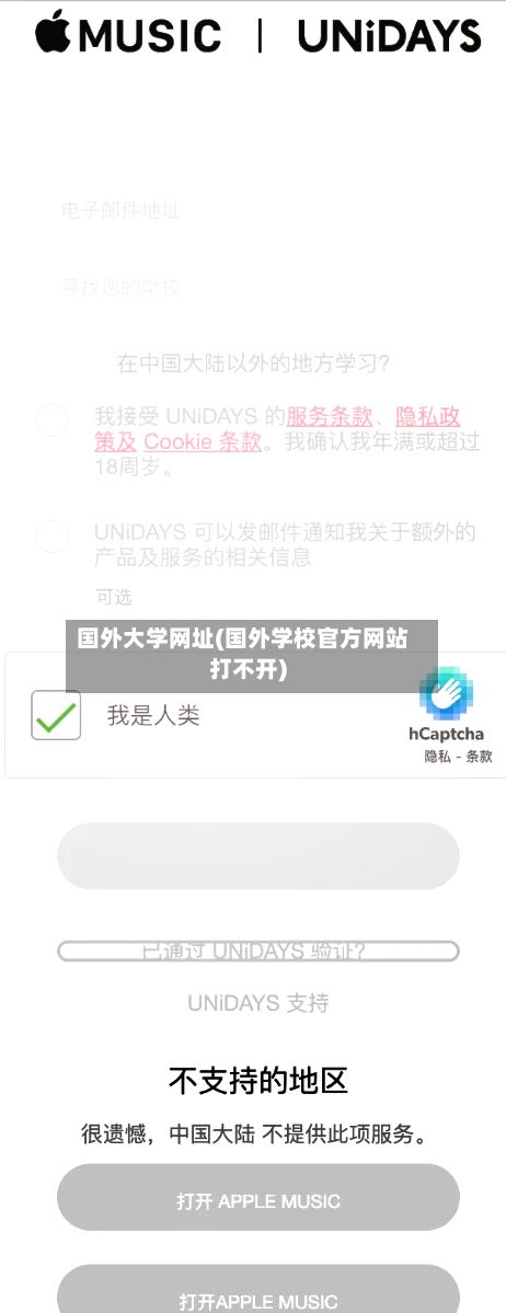 国外大学网址(国外学校官方网站打不开)-第2张图片