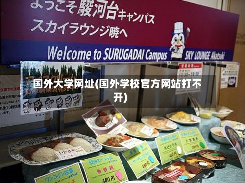 国外大学网址(国外学校官方网站打不开)-第3张图片