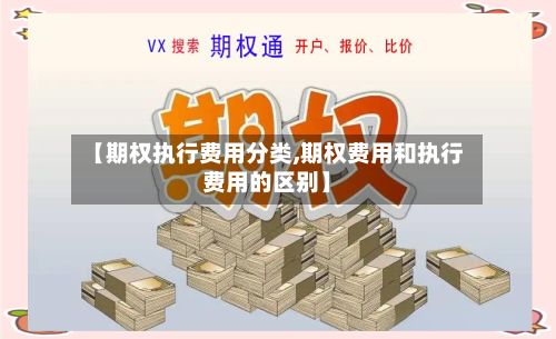 【期权执行费用分类,期权费用和执行费用的区别】-第2张图片