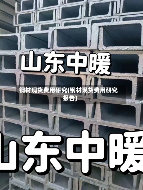 钢材现货费用研究(钢材现货费用研究报告)