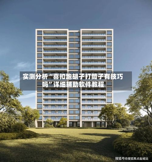 实测分析“喜扣跑胡子打筒子有技巧吗”详细辅助软件教程