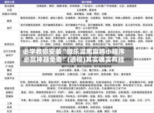必学教你安装“微乐湖南麻将小程序必赢神器免费	”(透视)其实确实有挂-第2张图片