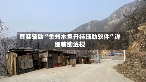 真实辅助“金州水鱼开挂辅助软件”详细辅助透视-第2张图片