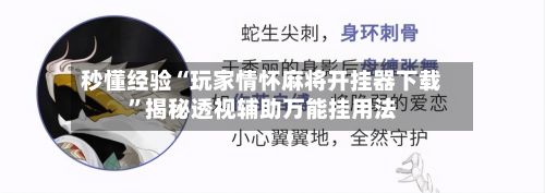 秒懂经验“玩家情怀麻将开挂器下载”揭秘透视辅助万能挂用法-第2张图片