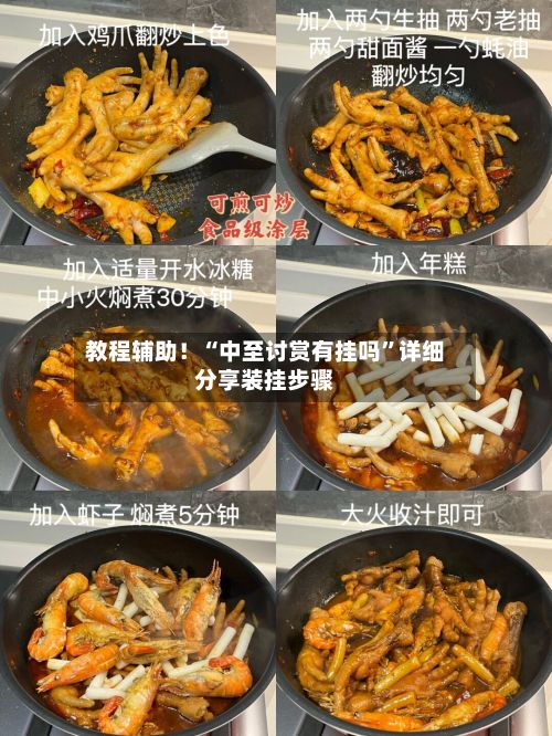 教程辅助！“中至讨赏有挂吗	”详细分享装挂步骤-第2张图片