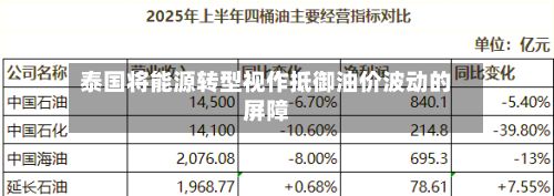 泰国将能源转型视作抵御油价波动的屏障-第2张图片