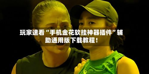 玩家速看“手机金花软挂神器插件”辅助通用版下载教程！-第2张图片
