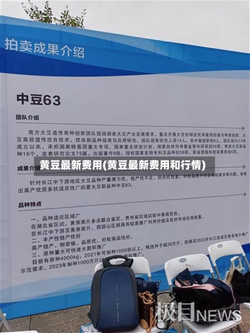 黄豆最新费用(黄豆最新费用和行情)