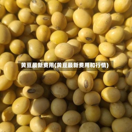 黄豆最新费用(黄豆最新费用和行情)-第2张图片