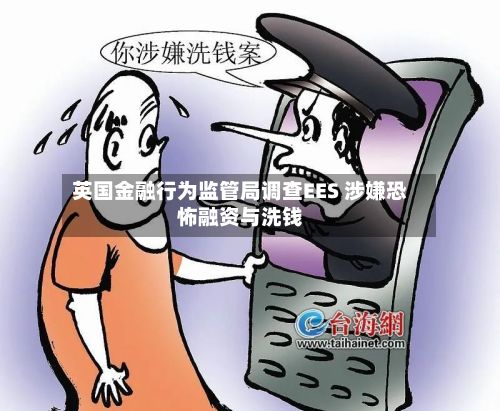 英国金融行为监管局调查EES 涉嫌恐怖融资与洗钱-第3张图片