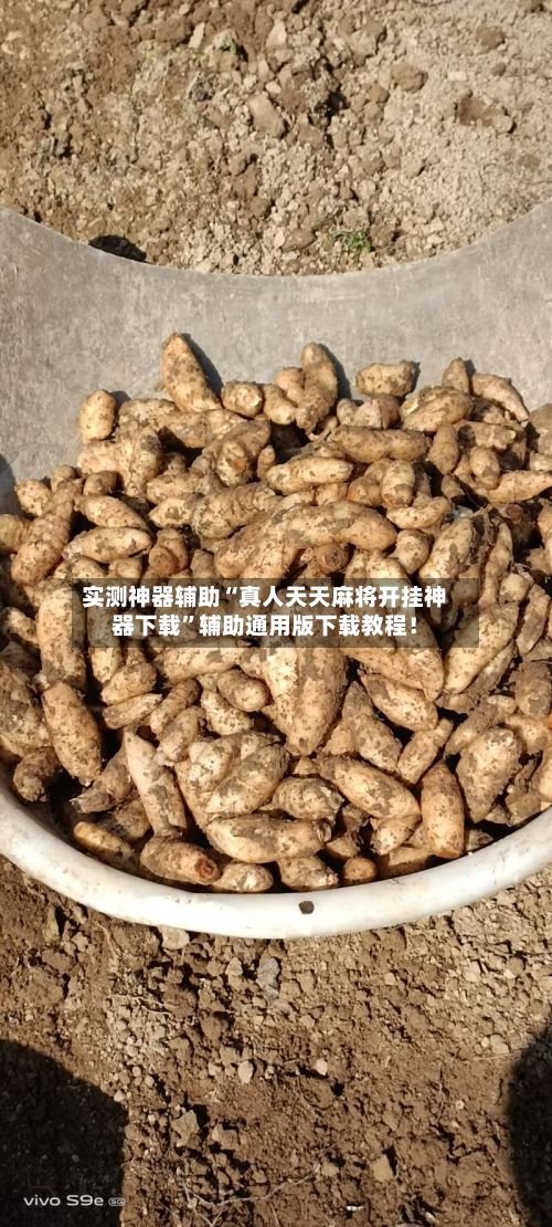 实测神器辅助“真人天天麻将开挂神器下载”辅助通用版下载教程！-第3张图片