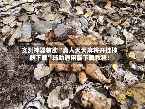 实测神器辅助“真人天天麻将开挂神器下载”辅助通用版下载教程！-第2张图片