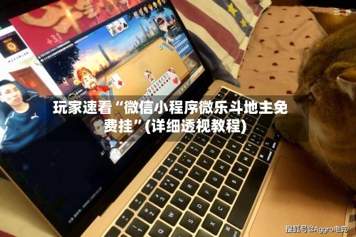 玩家速看“微信小程序微乐斗地主免费挂	”(详细透视教程)-第2张图片