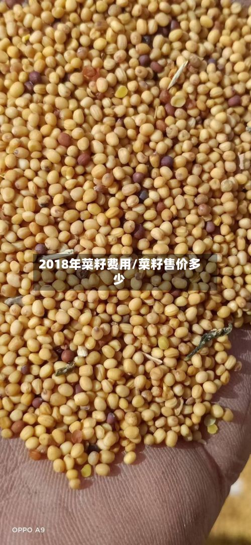 2018年菜籽费用/菜籽售价多少-第2张图片