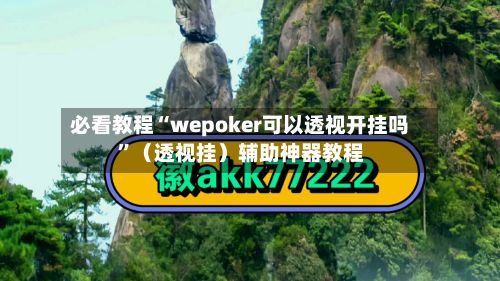 必看教程“wepoker可以透视开挂吗	”（透视挂）辅助神器教程-第2张图片