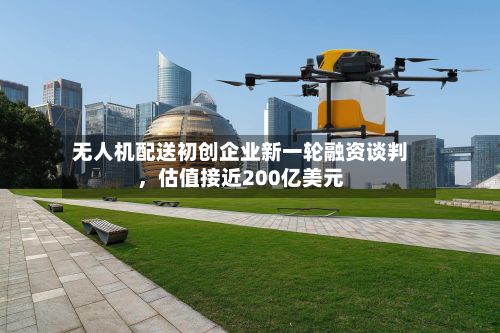 无人机配送初创企业新一轮融资谈判，估值接近200亿美元-第1张图片