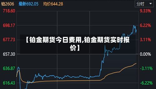 【铂金期货今日费用,铂金期货实时报价】