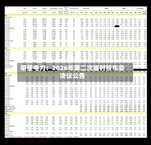 明星电力：2026年第二次临时股东会决议公告