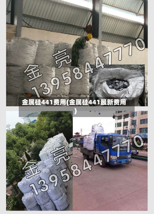 金属硅441费用(金属硅441最新费用)-第3张图片