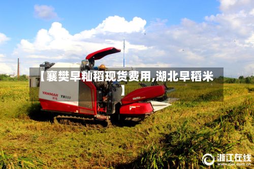 【襄樊早籼稻现货费用,湖北早稻米】