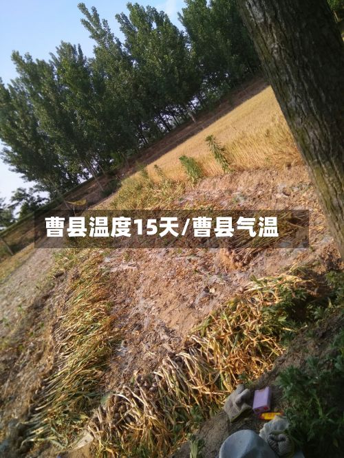 曹县温度15天/曹县气温-第2张图片