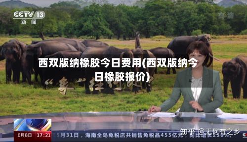 西双版纳橡胶今日费用(西双版纳今日橡胶报价)-第3张图片