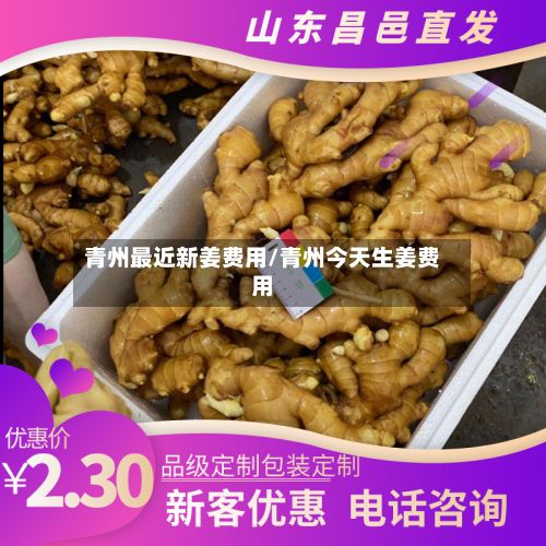 青州最近新姜费用/青州今天生姜费用-第3张图片