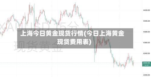 上海今日黄金现货行情(今日上海黄金现货费用表)-第2张图片