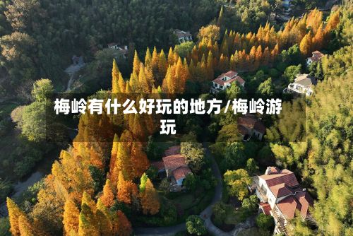 梅岭有什么好玩的地方/梅岭游玩-第2张图片
