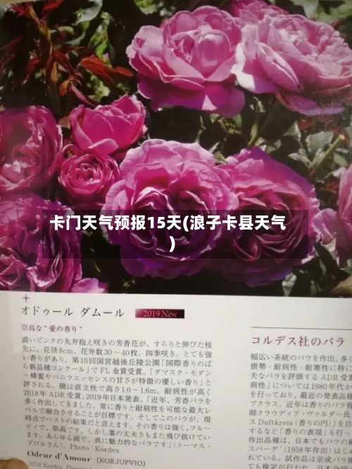 卡门天气预报15天(浪子卡县天气)-第2张图片