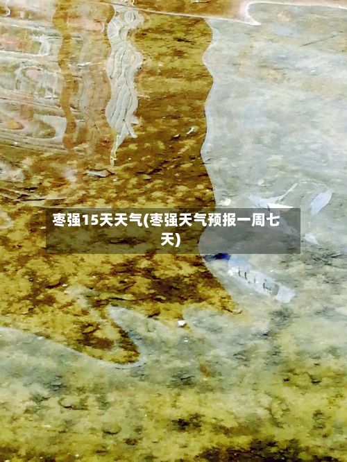 枣强15天天气(枣强天气预报一周七天)
