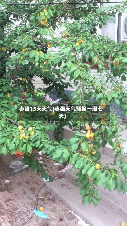 枣强15天天气(枣强天气预报一周七天)-第2张图片
