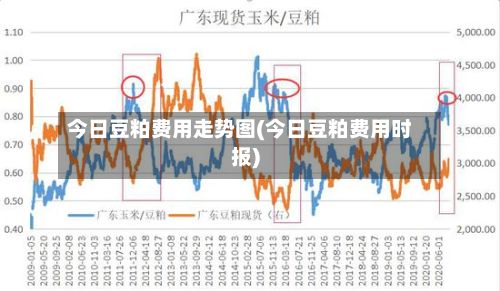 今日豆粕费用走势图(今日豆粕费用时报)