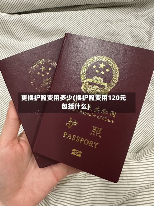 更换护照费用多少(换护照费用120元包括什么)