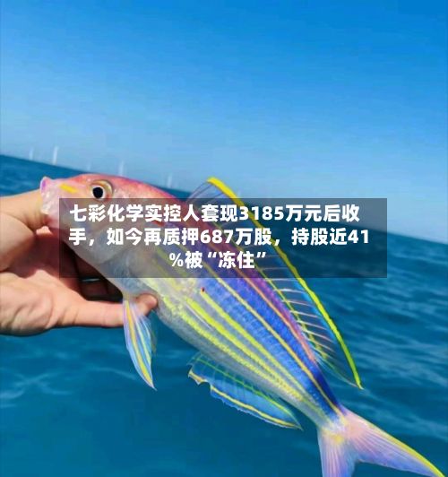 七彩化学实控人套现3185万元后收手，如今再质押687万股	，持股近41%被“冻住	”-第1张图片