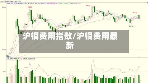 沪铜费用指数/沪铜费用最新