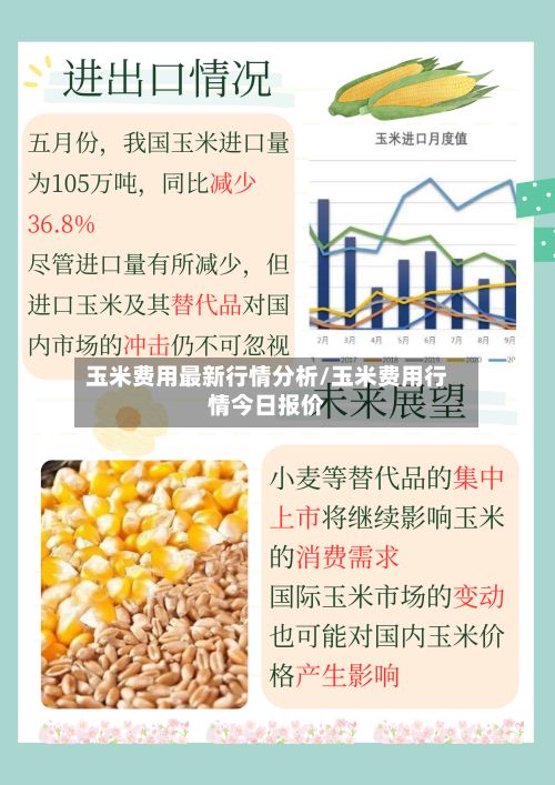 玉米费用最新行情分析/玉米费用行情今日报价-第2张图片