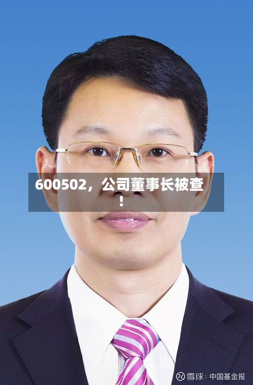 600502，公司董事长被查！-第3张图片