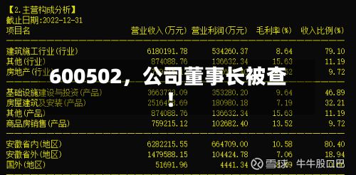 600502，公司董事长被查！-第2张图片
