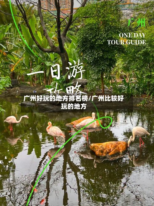 广州好玩的地方排名榜/广州比较好玩的地方