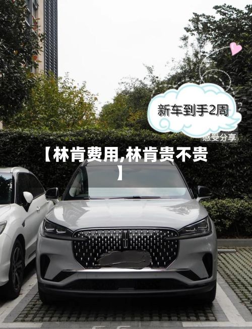 【林肯费用,林肯贵不贵】