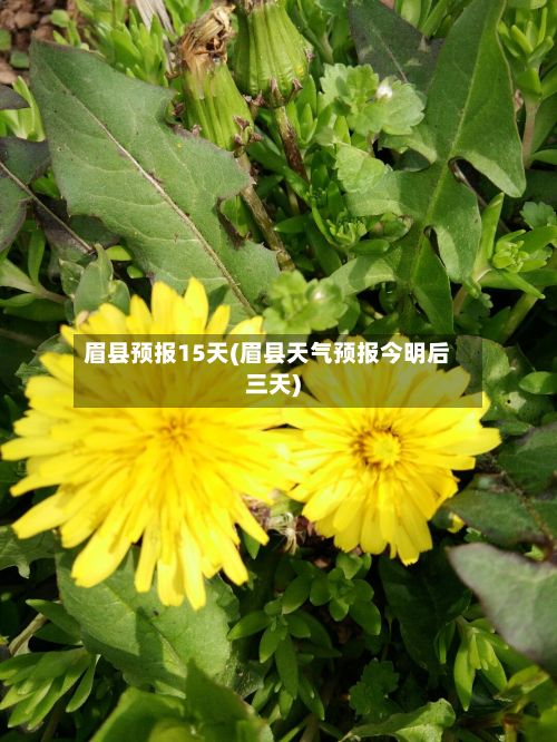 眉县预报15天(眉县天气预报今明后三天)-第2张图片