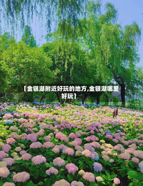 【金银湖附近好玩的地方,金银湖哪里好玩】-第3张图片