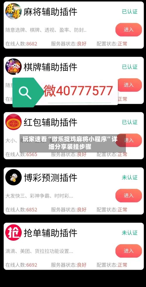 玩家速看“微乐捉鸡麻将小程序”详细分享装挂步骤-第2张图片
