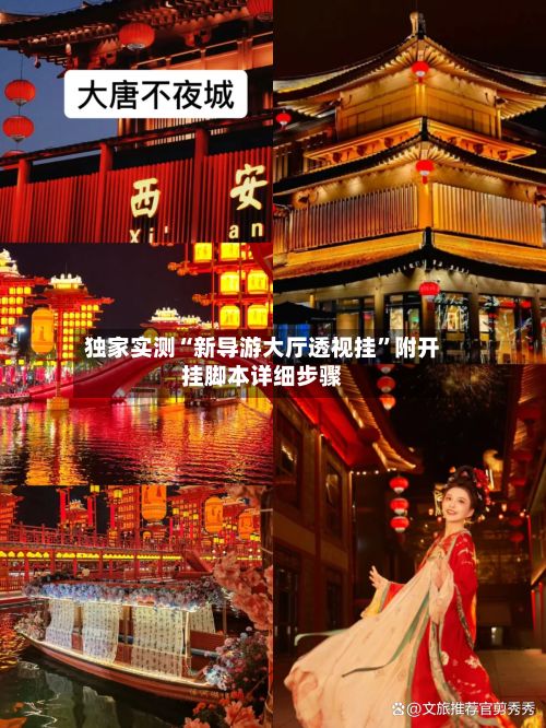 独家实测“新导游大厅透视挂”附开挂脚本详细步骤-第3张图片